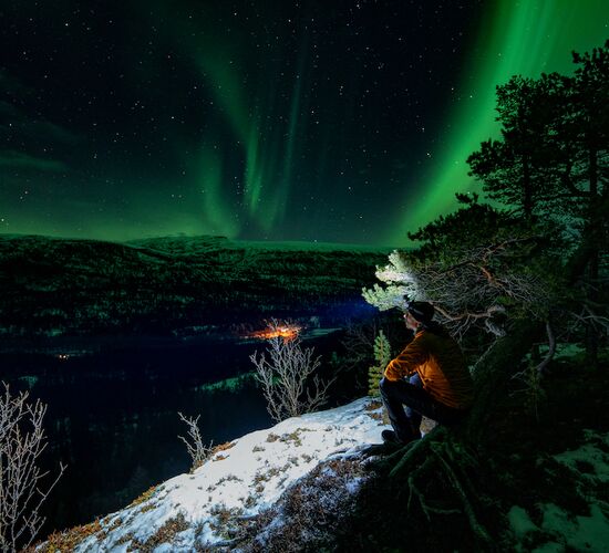 Wal-Safari und Nordlichter auf Uløya © Petr Pavlíček